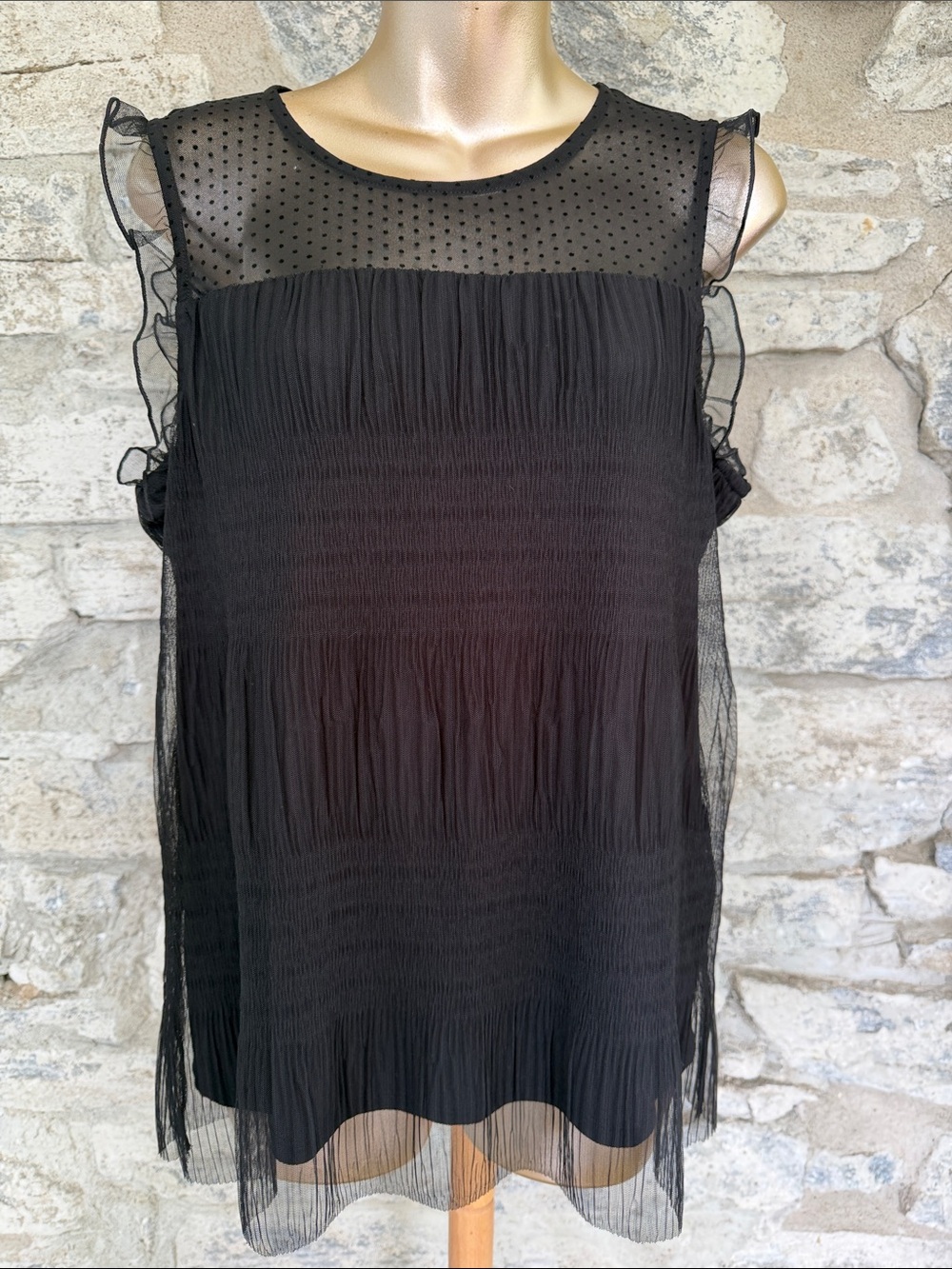 Sheer Black Ruffle Sleeve Top